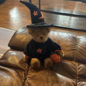 Boyds Bears Esmeralda Halloween Witch Bear Plush 904200
